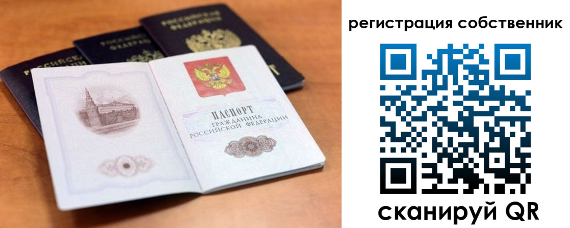 прописка поиск в Барыше